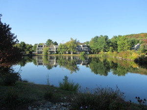 Millpond Townhouses Pond View
