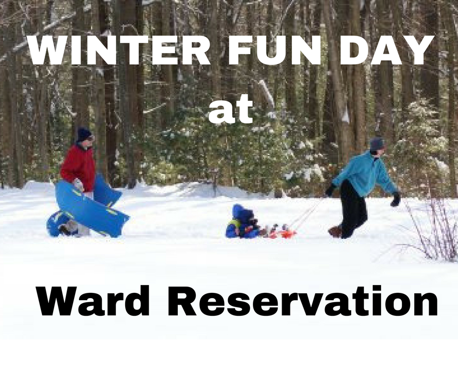 Winter Fun Day Ward Reservation